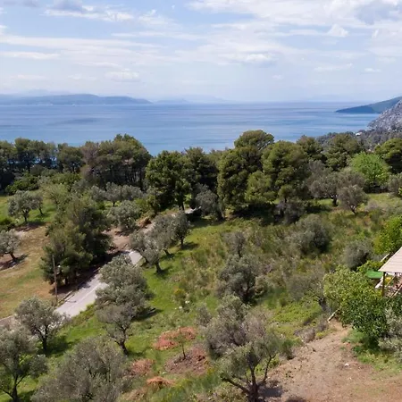 Calypso With Jacuzzi Pool & Sea View Villa *