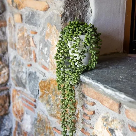 Calypso With Jacuzzi Pool & Sea View * Nerotriviá