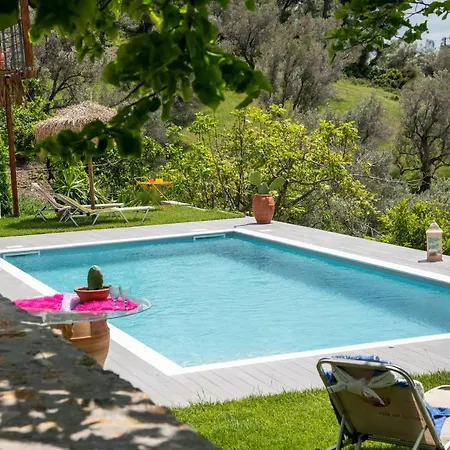 Calypso With Jacuzzi Pool & Sea View *