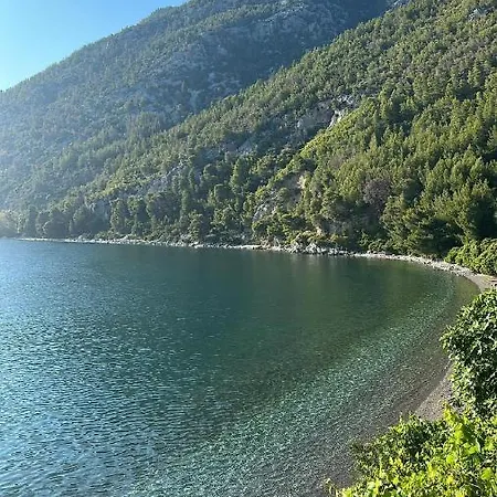 Calypso With Jacuzzi Pool & Sea View *