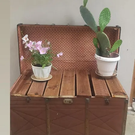 Calypso With Jacuzzi Pool & Sea View Nerotriviá