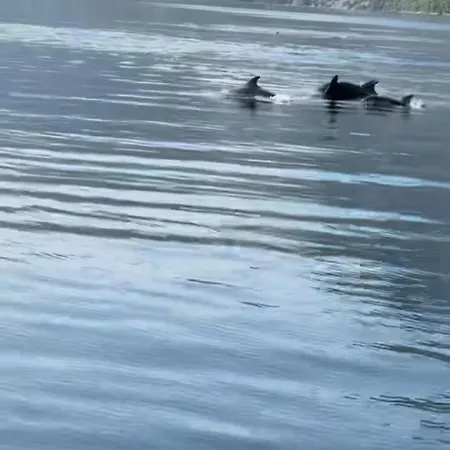 Calypso With Jacuzzi Pool & Sea View Villa *