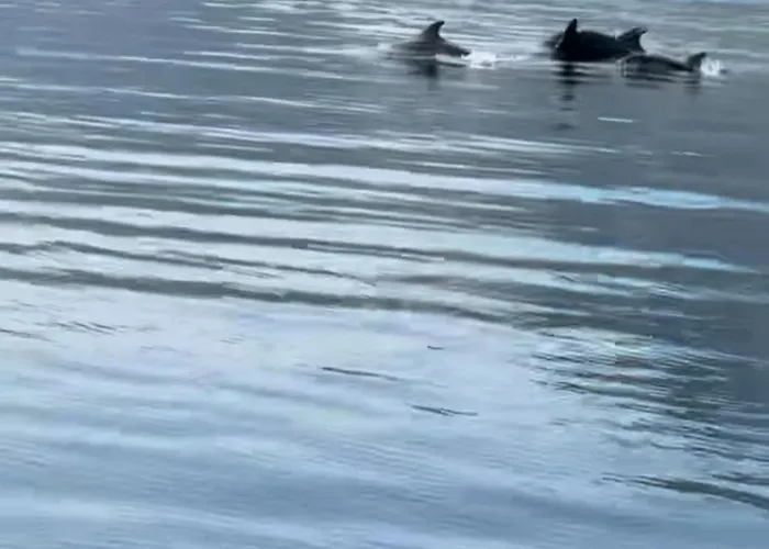 Calypso With Jacuzzi Pool & Sea View Villa *